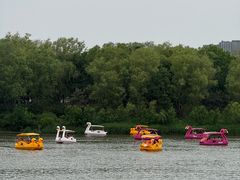 -大兴滨河森林公园