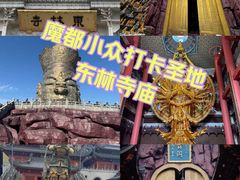 -上海东林寺(金山区)