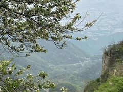 -万达广场(泰安泰山店)