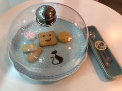 -三花喵·撸猫购宠·宠物生活馆(虹桥南丰城店)