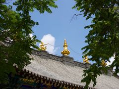 -护国法轮寺