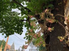 -柬埔寨国家博物馆