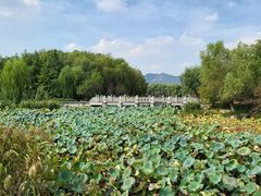 -翠姐姐农家大院·老底子萧山菜(建设一路店)