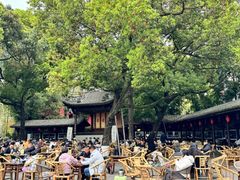 -铁像寺水街