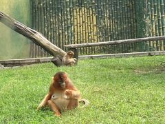 -大连森林动物园