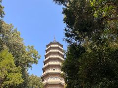 -灵谷景区