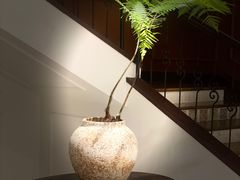 -醉西楼·国风茶社