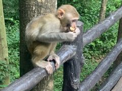 -龚师傅土菜馆.地道农家菜(魅力湘西店)