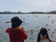 -海驴岛(荣成市)