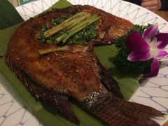 -紫滇源云南生态菜(丹凤街店)