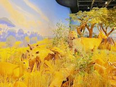 -陕西自然博物馆