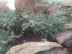 -南通洲际绿博园