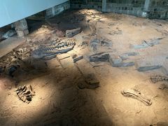 -自贡恐龙博物馆