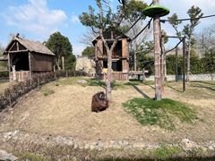 -上海野生动物园