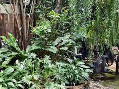 -Fern Forest Cafe