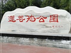 -莲花池公园