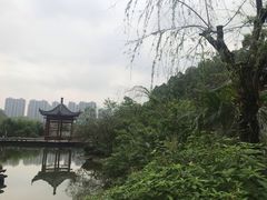 -广州神农草堂中医药博物馆