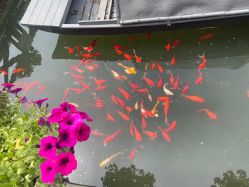 -爱儿美儿童摄影(五路居花园别墅店)