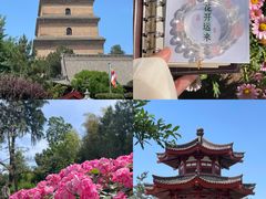 -大慈恩寺(大雁塔)