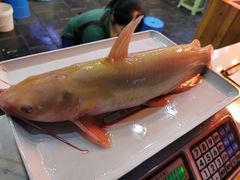 -老马餐馆