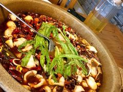 麻辣石锅鱼-都江堰石锅鱼