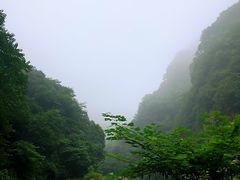 -陕西省红河谷森林公园