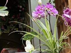 -谷咖啡·鲜花绿植花园餐厅