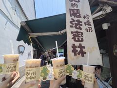 -猫的魔法密林(衣裳街店)