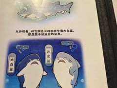 -海合安成都极地海洋公园