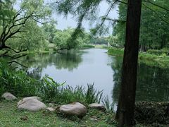 -上海共青森林公园