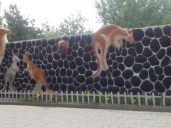 android_upload_pic-太原动物园