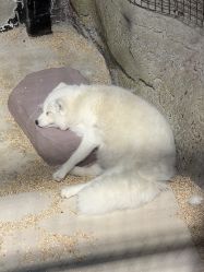 -酷嗒动物文化乐园(cutezoo西溪乐天城店)