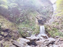 -石台牯牛降景区