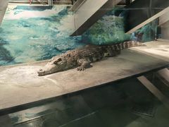 -成都浩海立方海洋公园