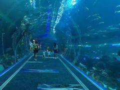 -成都浩海立方海洋公园