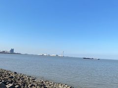 -上海滨江森林公园