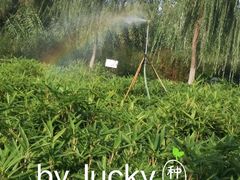 -济南植物园