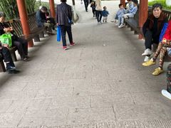 -重庆彩云湖湿地公园