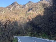-秦岭风景区