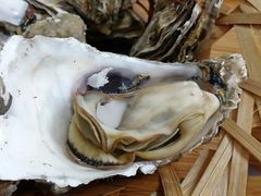 -顽啤熊·酒客酒馆(苏城夜景必选店)