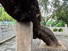 -莲池书院博物馆