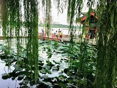 -济南大明湖景区