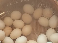 -牛New寿喜烧(金鹰世界店)