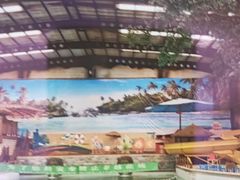 -南宫温泉水世界