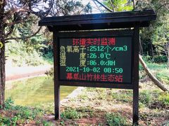 -潜山国家森林公园