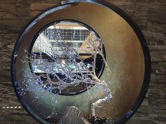 -红辣椒·川菜·火锅(张杨路店)