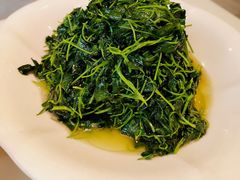 草头-一麦·龙岛(上海青浦店)