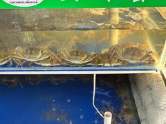 -阳澄湖大闸蟹·琼灵阁牌品牌连锁(吴中总店)