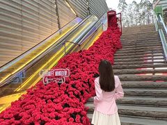 -万科生活广场(东莞松山湖店)