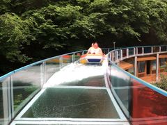 -十渡东湖港风景区